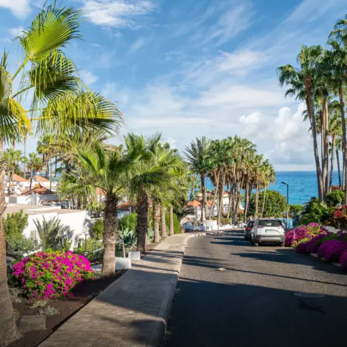 iStock-2154094908costa calma_result